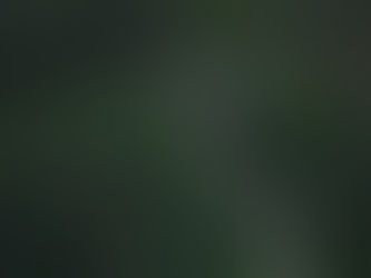 Crow: Not a common bird