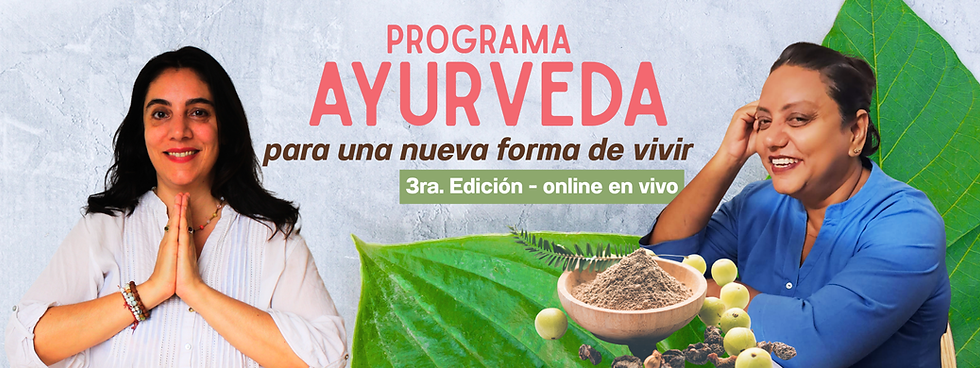PORTADA PROGRAMA.png