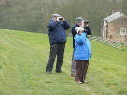 Birdwatching Group