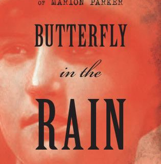 Butterfly in the rain de James L.Neibaur
