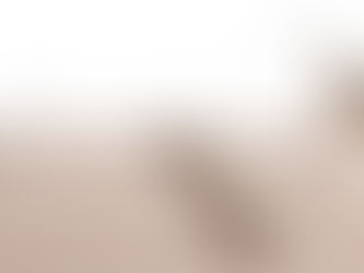 Nya regler mot greenwashing - så arbetar vi för maximal tydlighet