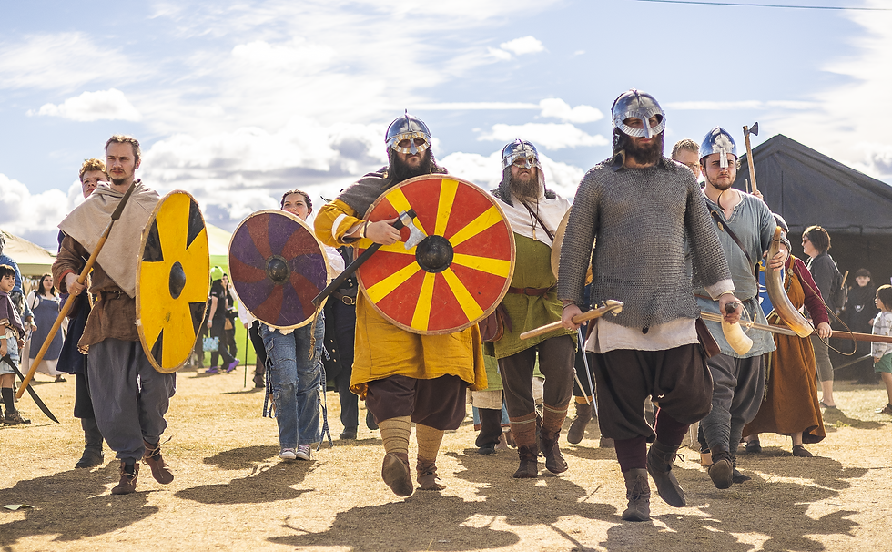 Vikings.png