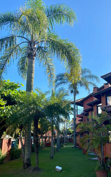 Área externa do Apartamento 47 com jardins e palmeiras.