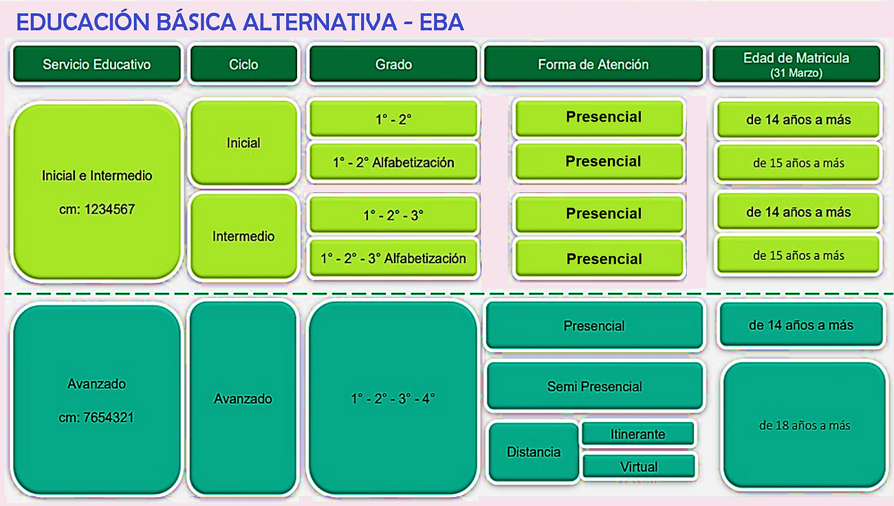 EDAD REFERENTE MATRICULA EBA.png