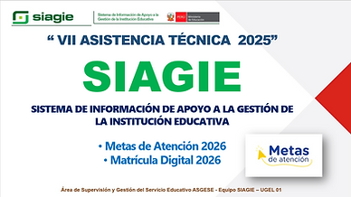 VII AT METAS ATENCION 2026 PNG.png