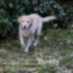 20161119_150930_edited_edited