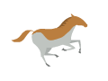 horse.gif