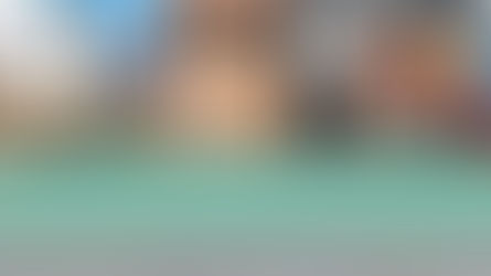 maltese's fluffy onsen