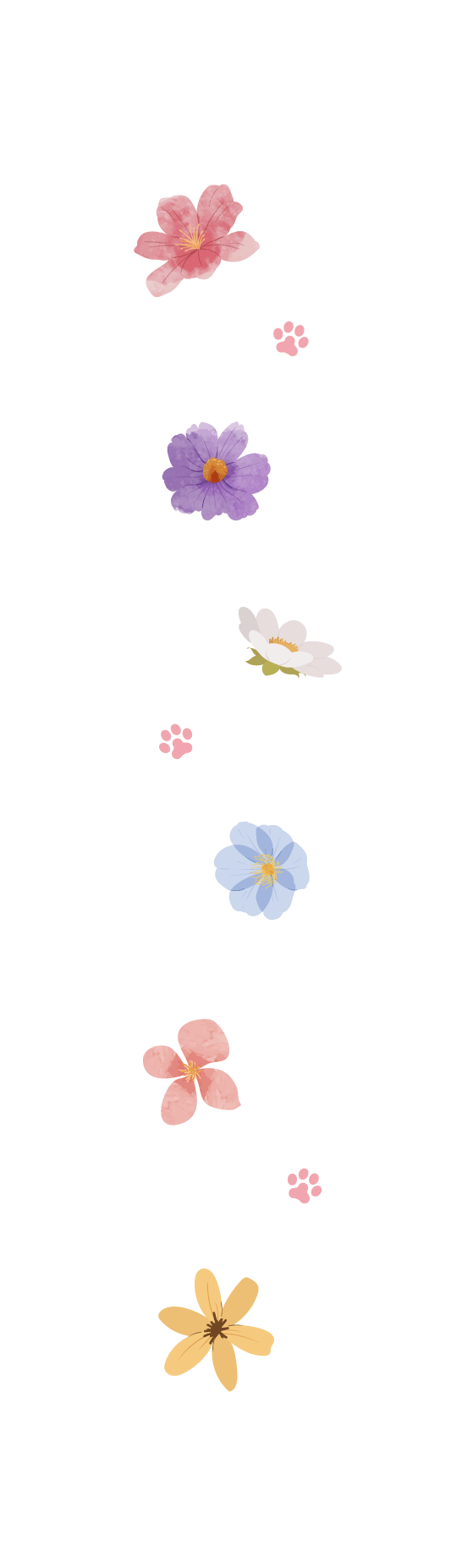 装飾.gif