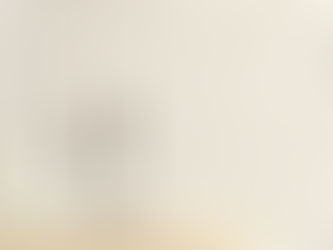 Wallpaper vs Paint