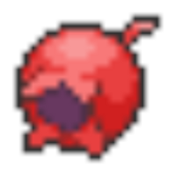 Haban Berry