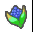 Cornn Berry