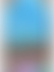 A Season of Thanks: What’s Been Happening on the Farm