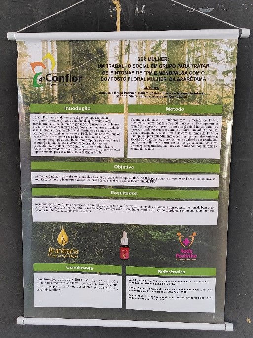 Banner com o resumo do trabalho no 5º Conflor