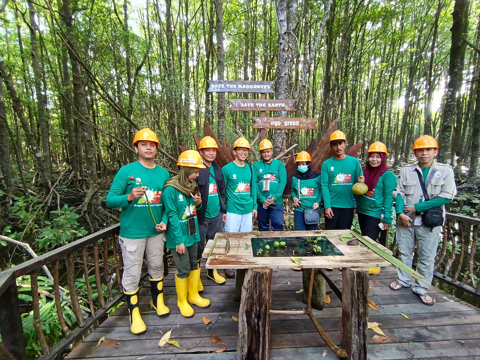 Field photo of the expedition team investigating Bruguiera hainesii (Photo credit: Shifa Helena).