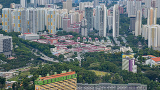 Urban Forest Ecology: Nature-Based Pathways for Greener and Resilient Cities