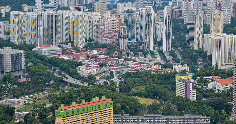 Urban Forest Ecology: Nature-Based Pathways for Greener and Resilient Cities