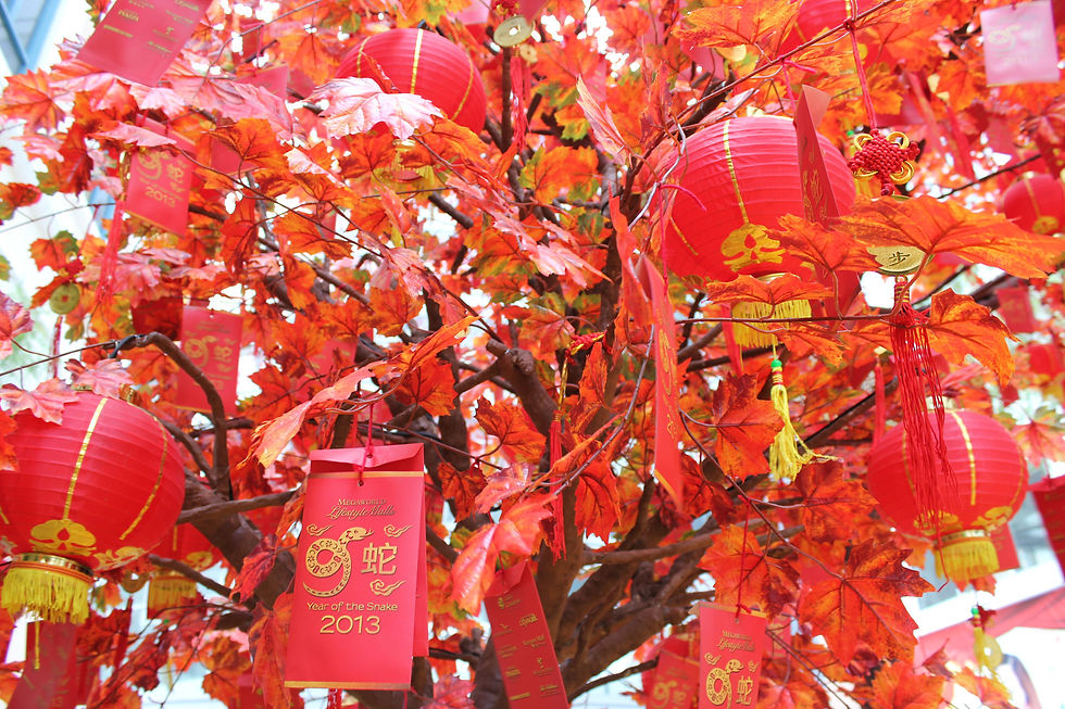 The Prosperity Tree, decorated with lanterns, ribbons, and money envelopes, forms an integral part of the Chinese New Year (Photo: Maliz Ong, distributed under a CC0 license)