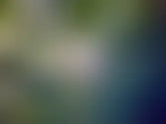 The Natural Capital of Irish Forests