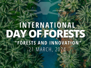 Trees with a Second Chance