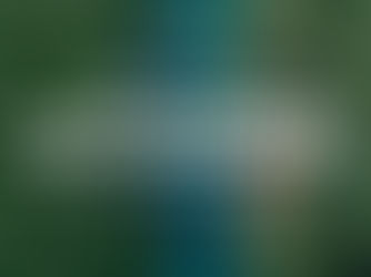 Trees with a Second Chance