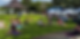 Tamiami_Park_FM
