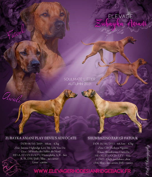 COLLAGE SOULMATE 68.jpg