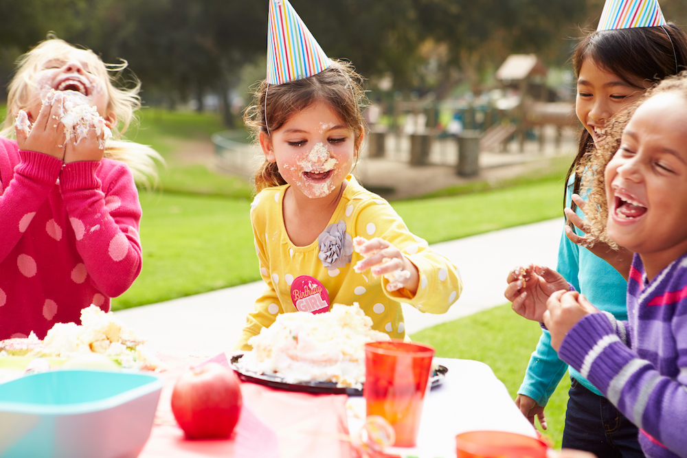 Picnic Birthday