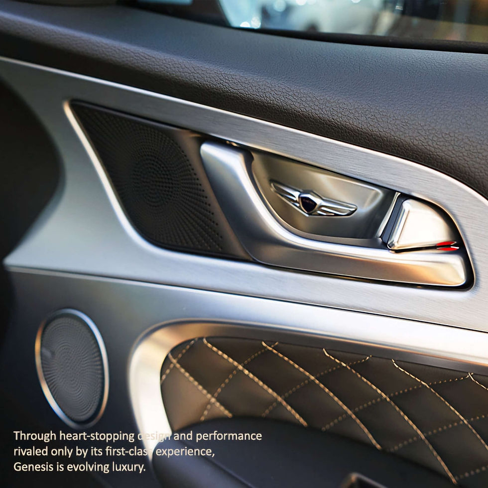 Thumbnail: 2018+ Genesis G70 Premium Door Catch Plate Kit