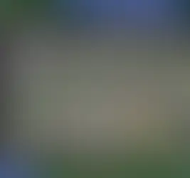 Bridge Deflection Anomaly? SH20 Mangere Bridge, Auckland