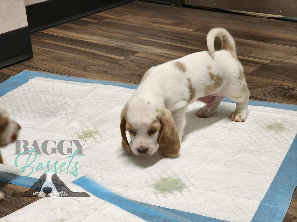 d35be012-8512-40a5-856d-2eb42e7d2f1a