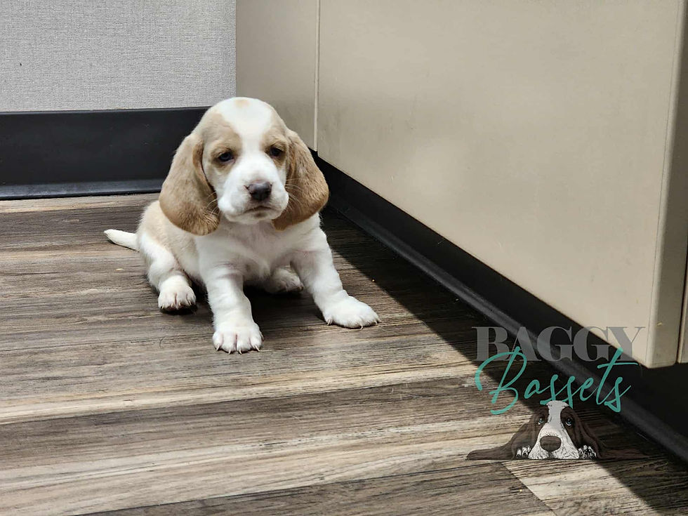 5aff95ff-1330-4036-b6d8-15029ede1a1c