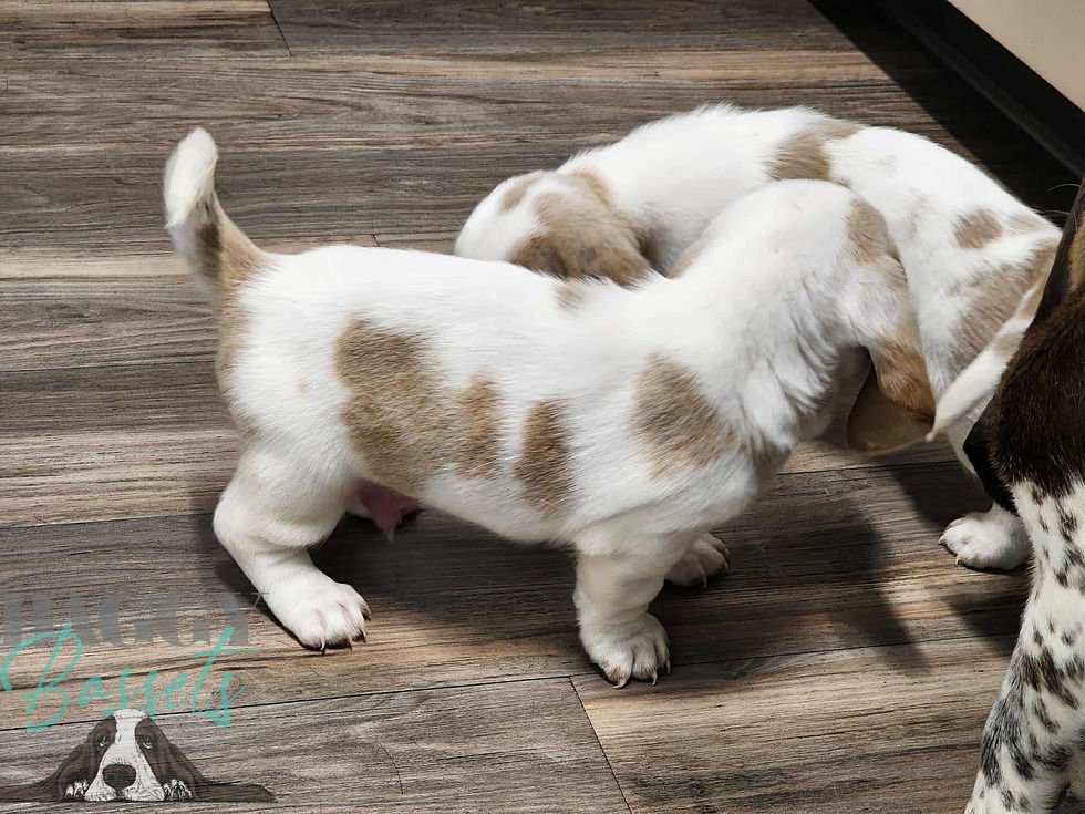 85296bb9-63d3-493d-abf1-eeec6ac41a40