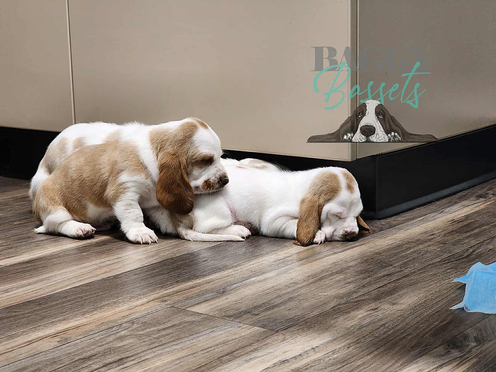 cb48ce0e-07f2-445e-a13d-d40dbe887b3c