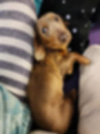 1e910369-20dd-4f8f-9ab1-a259380f7684