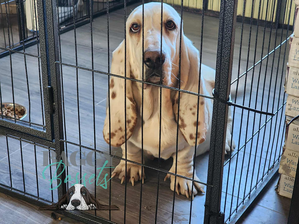 795368da-dee1-4417-873e-78eae4f79354