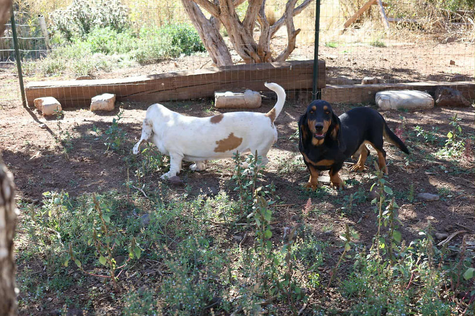 9b2b5285-f28f-4e09-b91e-c189aef9a6dc