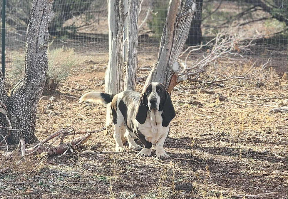 44ae7f49-7a0f-4f32-a7ef-db5ff2e0a8b2