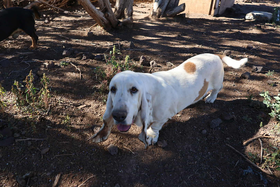 2611eee9-1cf1-4801-b681-6fed72af85cb