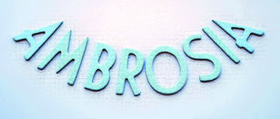 Introducing: Ambrosia-the food blog