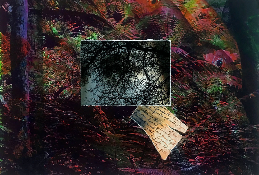 Figure/Ground 13 (Fish)
