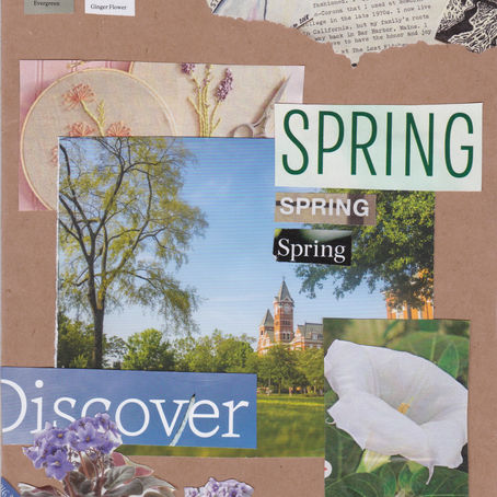 Discover Spring