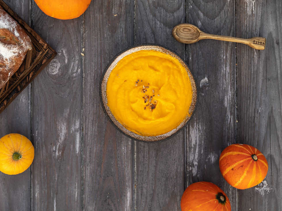 1st Stage Baby Food Recipes: 9 homemade purees!