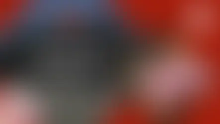 Les traditionnels agneaux de Pâques