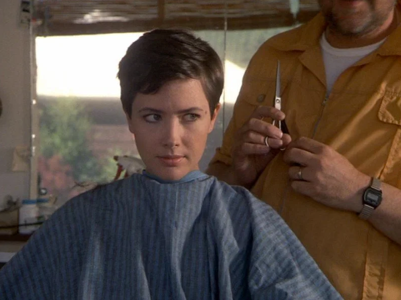 Janine turner photos