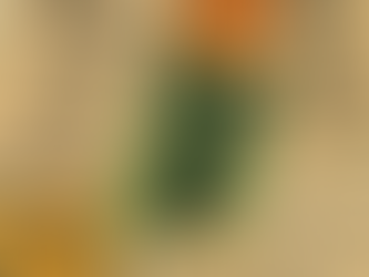 Paper Trails #11: Lost & Found—The Strange Afterlives of Things Never Meant to Last