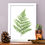 Thumbnail: FERN LEAF | PRINT