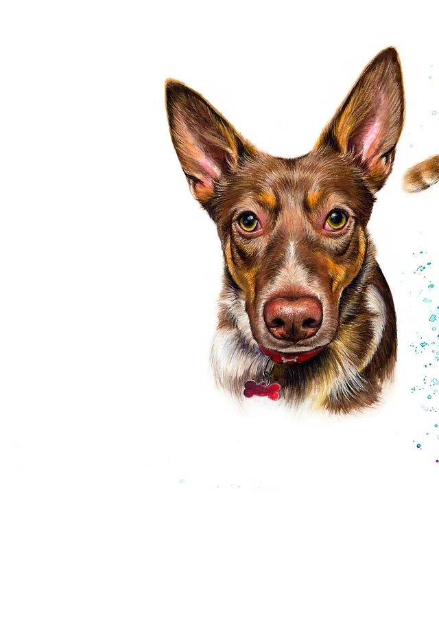 Astrid S Pet Portraits Pet Portrait Artist Uk Pet Portrait From Photo