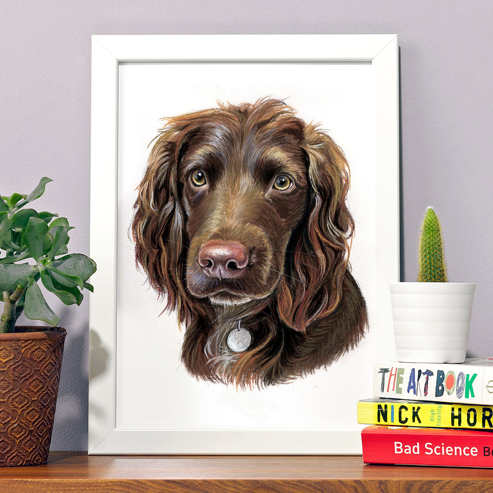 Astrid's Pet Portraits Pet Portrait Artist UK Pet portrait from photo