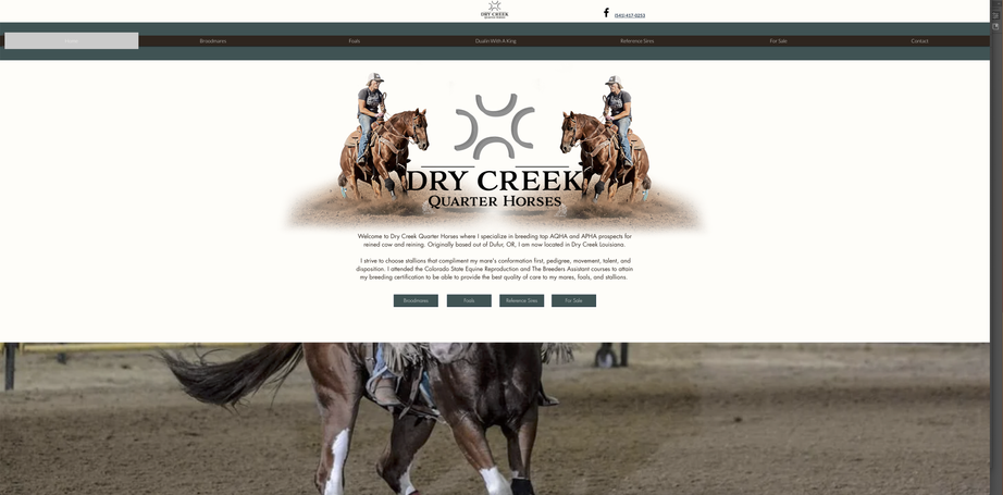 Dry Creek Quarter Horses Website screenshot